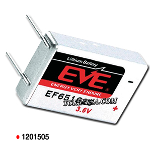 3.6V 750mAh LITHIUM BATTERY-EF651625T,TPMS BATTERY