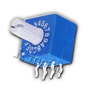 ERD216RA-10POLES SWITCH